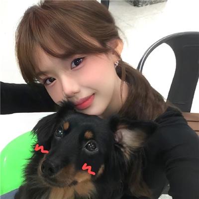 喜羊羊与灰太狼之奇妙大营救